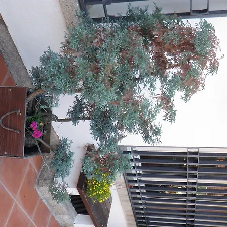 Maison d'hôtes Siete Picos 4*