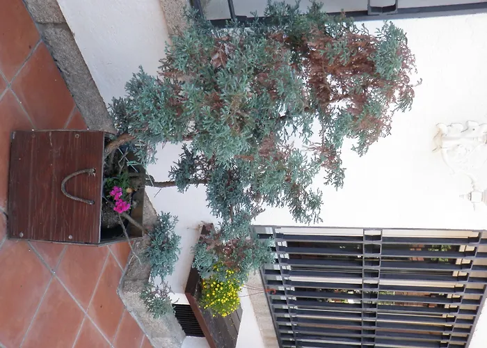 Guest house Siete Picos 4*