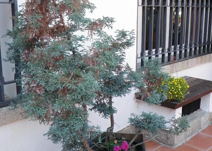 Siete Picos Guest house El Espinar